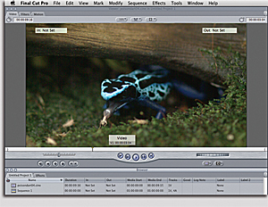 Cine and FCP sample image